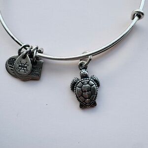 Alex and Ani turtle charm bangle antique silver